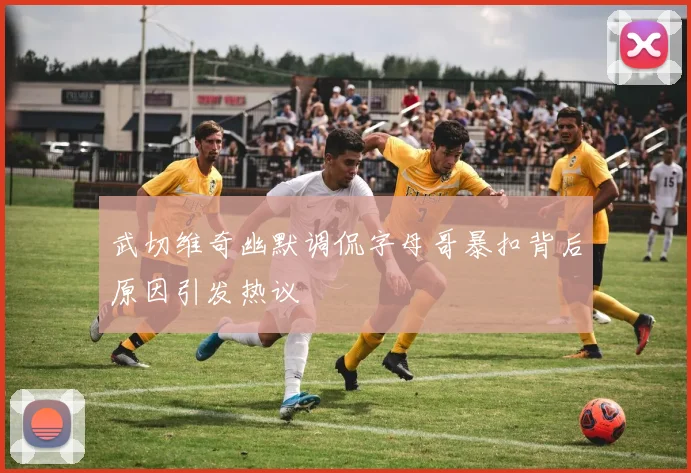 武切维奇幽默调侃字母哥暴扣背后原因引发热议