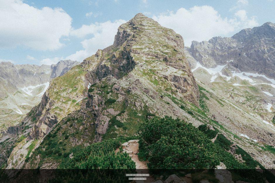 未来科技：智能家居的全景